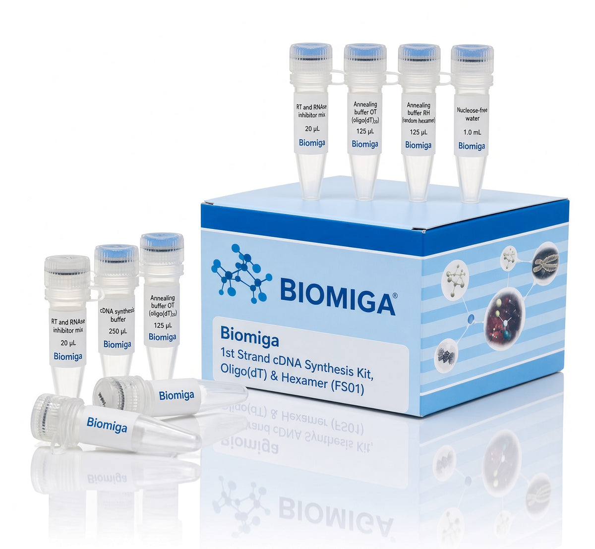 Biomiga 1st Strand cDNA Synthesis Kit, Oligo(dT) & Hexamer (FS01)