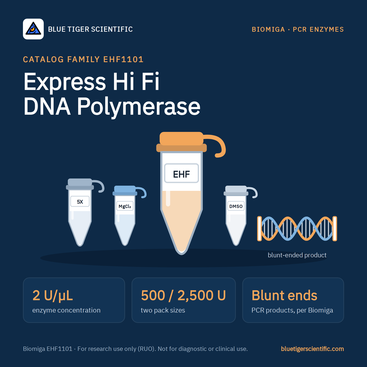 Express Hi Fi DNA Polymerase EHF1101 at 2 U/µL in 500 U or 2,500 U packs, shown with 5X buffer, MgCl₂ and DMSO tubes and a blunt-ended DNA product
