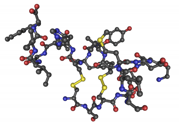 Endothelin-1 (1-31) (Human) Peptides Molecular Depot