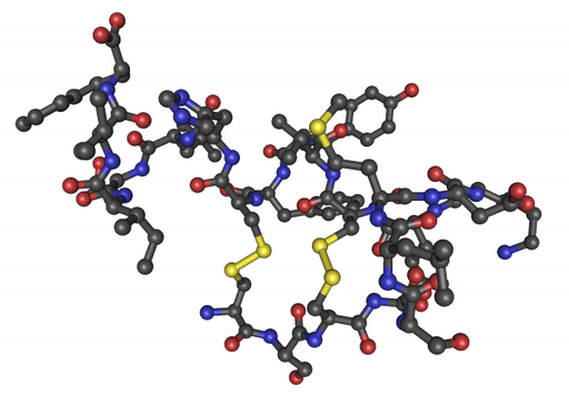 Endothelin-2 (Human) Peptides Molecular Depot