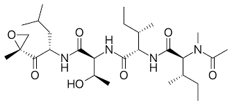 Epoxomicin Peptides Molecular Depot
