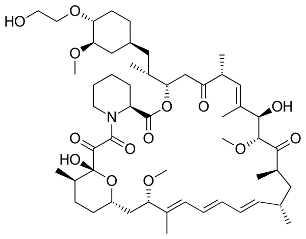 Everolimus BSA Conjugate Solution Proteins Molecular Depot