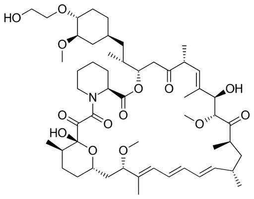Everolimus BSA Conjugate Solution Proteins Molecular Depot