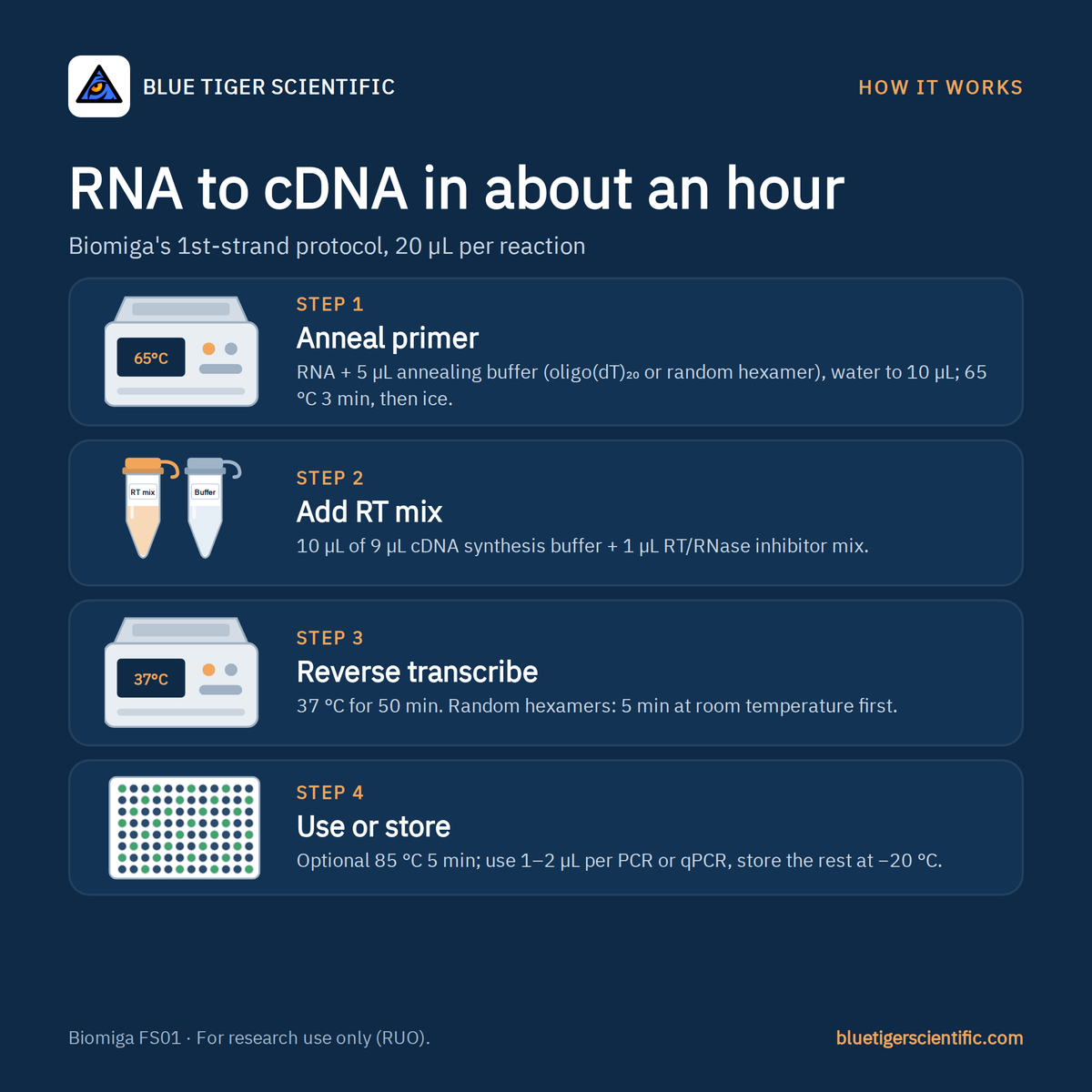Biomiga 1st Strand cDNA Synthesis Kit, Oligo(dT) & Hexamer (FS01) cDNA Synthesis Kits Biomiga