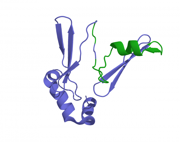 Ghrelin (Human) Peptides Molecular Depot
