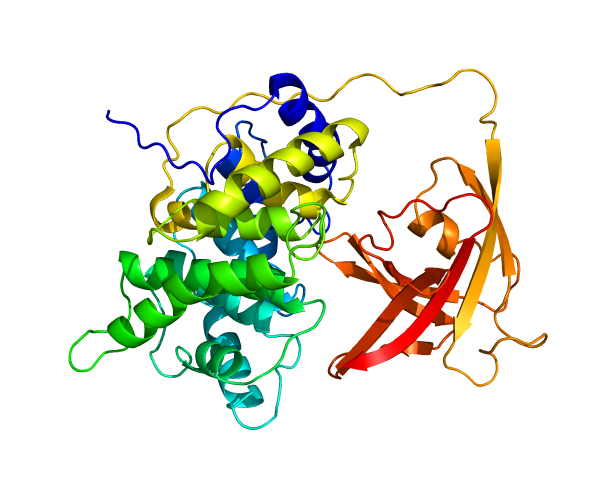 Intrinsic Factor Antibody Monoclonal Antibodies Molecular Depot