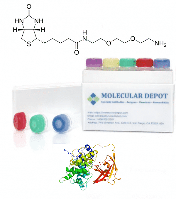 UltraFast Biotinylation Kit (microgram scale, 5 reactions) Research Kits Molecular Depot