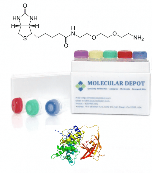 UltraFast Biotinylation Kit (microgram scale, 5 reactions) Research Kits Molecular Depot
