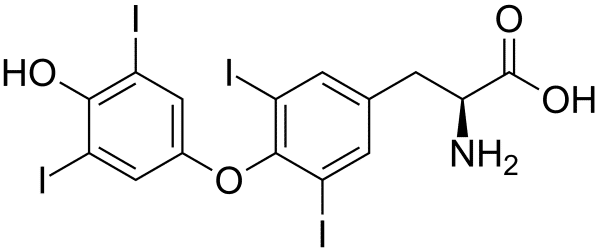 Thyroxine BSA Conjugate Solution Proteins Molecular Depot