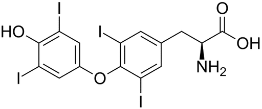 Thyroxine BSA Conjugate Solution Proteins Molecular Depot