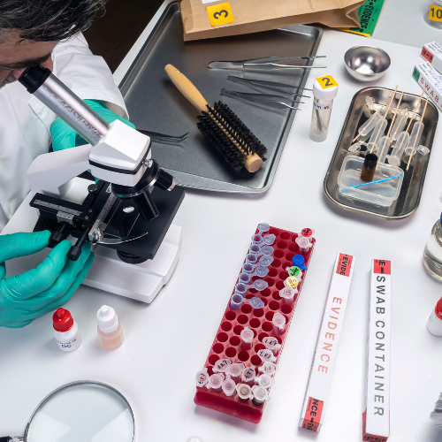 Forensic Analysis — Blue Tiger Scientific