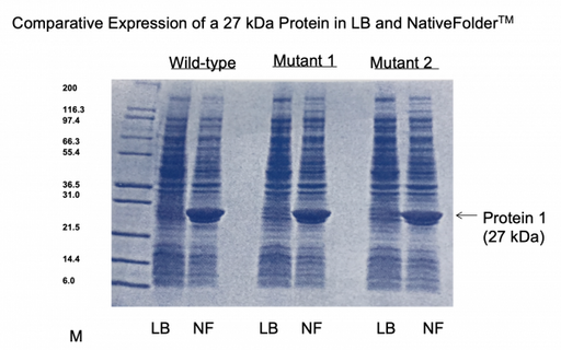 NativeFolder Bacterial Culture Medium Research Kits Molecular Depot