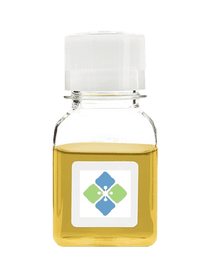 Casein, N,N-dimethylated from Bovine Milk Proteins Molecular Depot