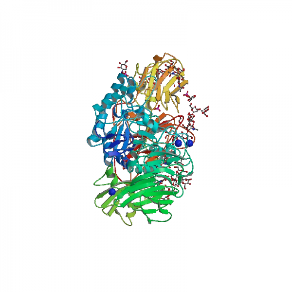 Beta-galactosidase Enzyme Donor Proteins Molecular Depot