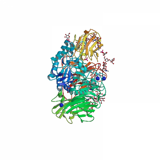 Beta-galactosidase Enzyme Donor Proteins Molecular Depot