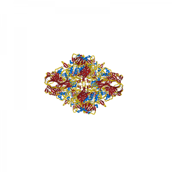 Beta-galactosidase Enzyme Acceptor Proteins Molecular Depot