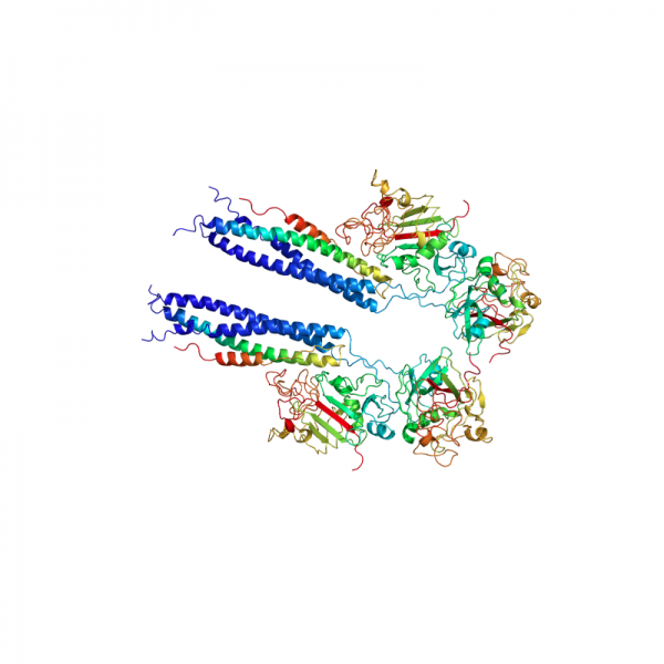 Fibrinogen from Bovine Plasma Lyophilized Proteins Molecular Depot