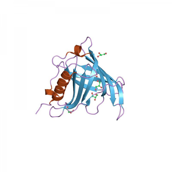 Retinol Binding Protein RBP Solution Proteins Molecular Depot