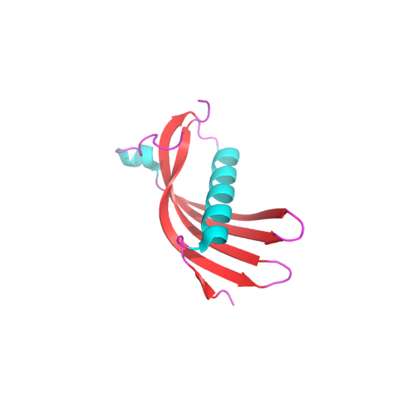Cystatin C Protein Recombinant Proteins Molecular Depot