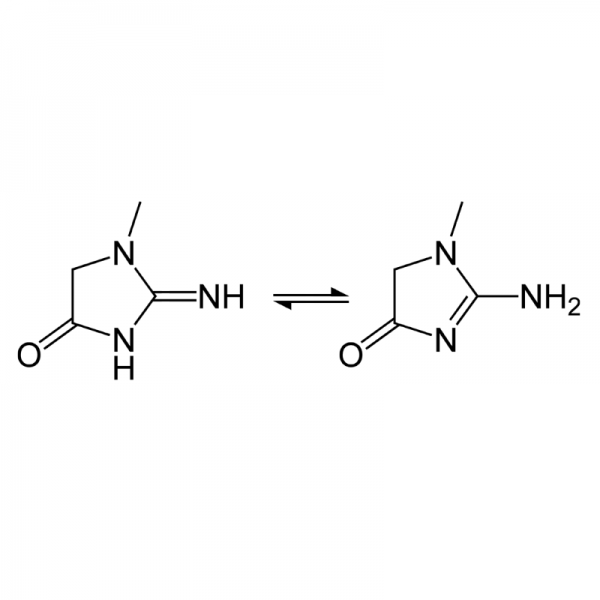 Creatinine BSA Conjugate Solution Proteins Molecular Depot