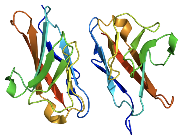 CEA Protein Human (Highly Pure) Proteins Molecular Depot