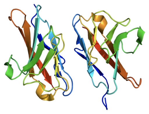 CEA Protein Human (Highly Pure) Proteins Molecular Depot