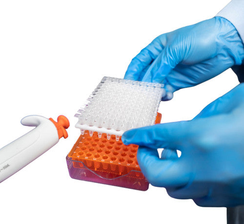 Heathrow Scientific PCR Transfer Trays | HS23465B Heathrow Scientific