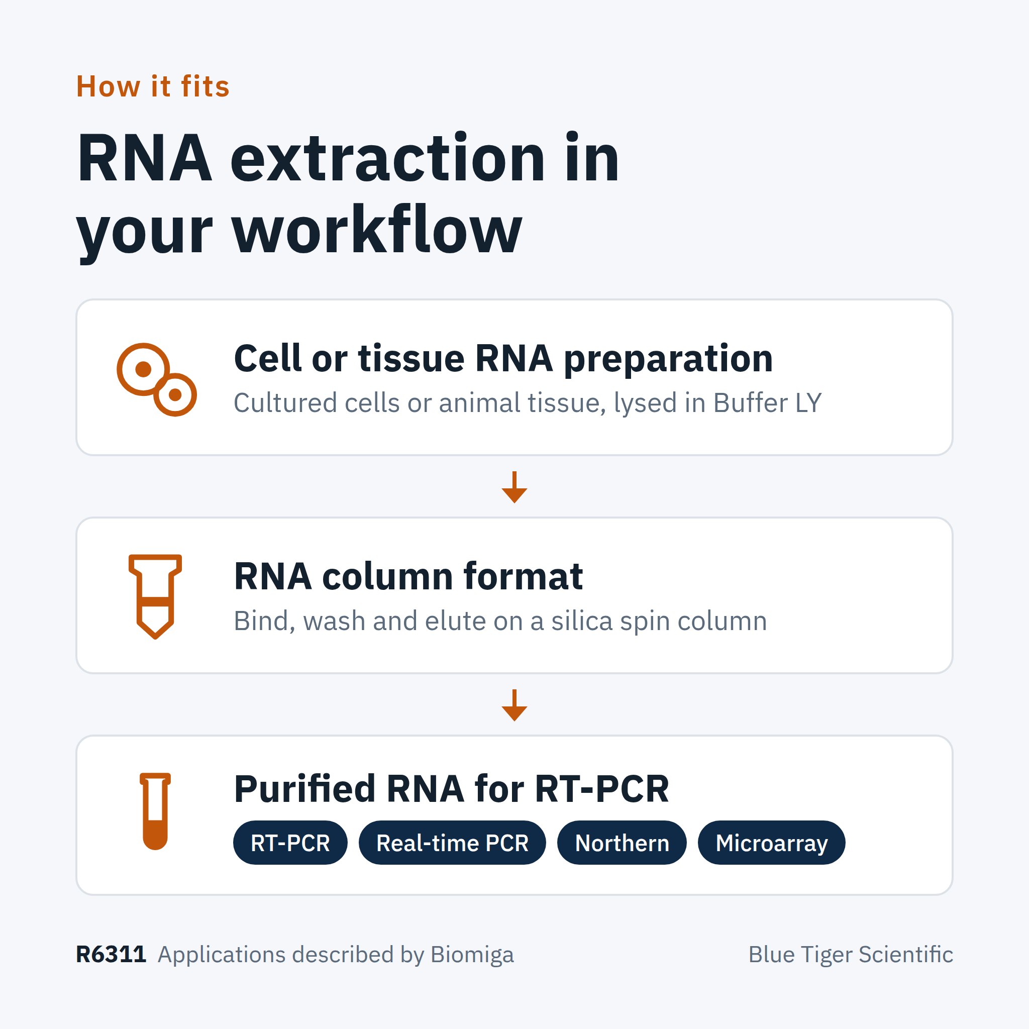 R6311 workflow overview: cell or tissue RNA preparation, spin-column purification, purified RNA for RT-PCR, real-time PCR, Northern and microarray