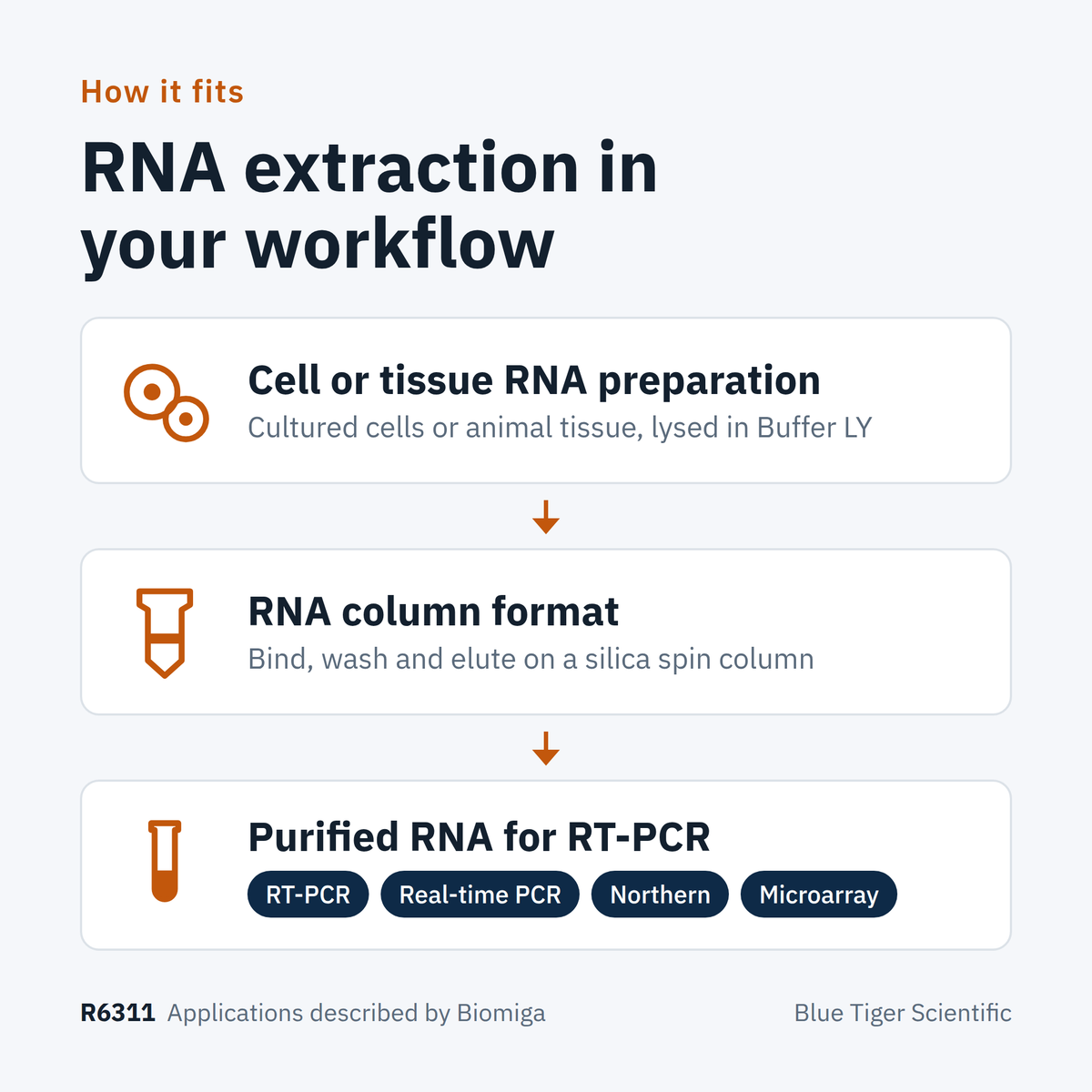 R6311 workflow overview: cell or tissue RNA preparation, spin-column purification, purified RNA for RT-PCR, real-time PCR, Northern and microarray
