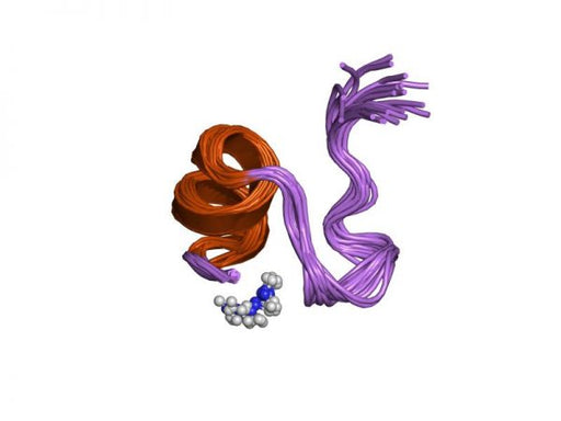 Tertiapin Peptides Molecular Depot