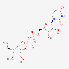 UDP-β-L-Arabinofuranose (Highly Pure) Carbohydrates Molecular Depot