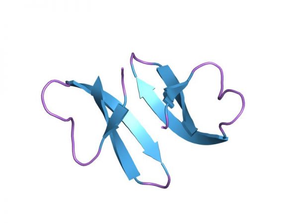 α-Defensin-6 (Human) Peptides Molecular Depot