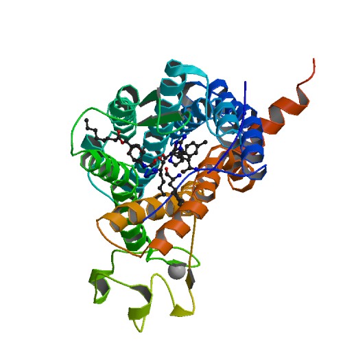 Apelin-36 (Human) Peptides Molecular Depot