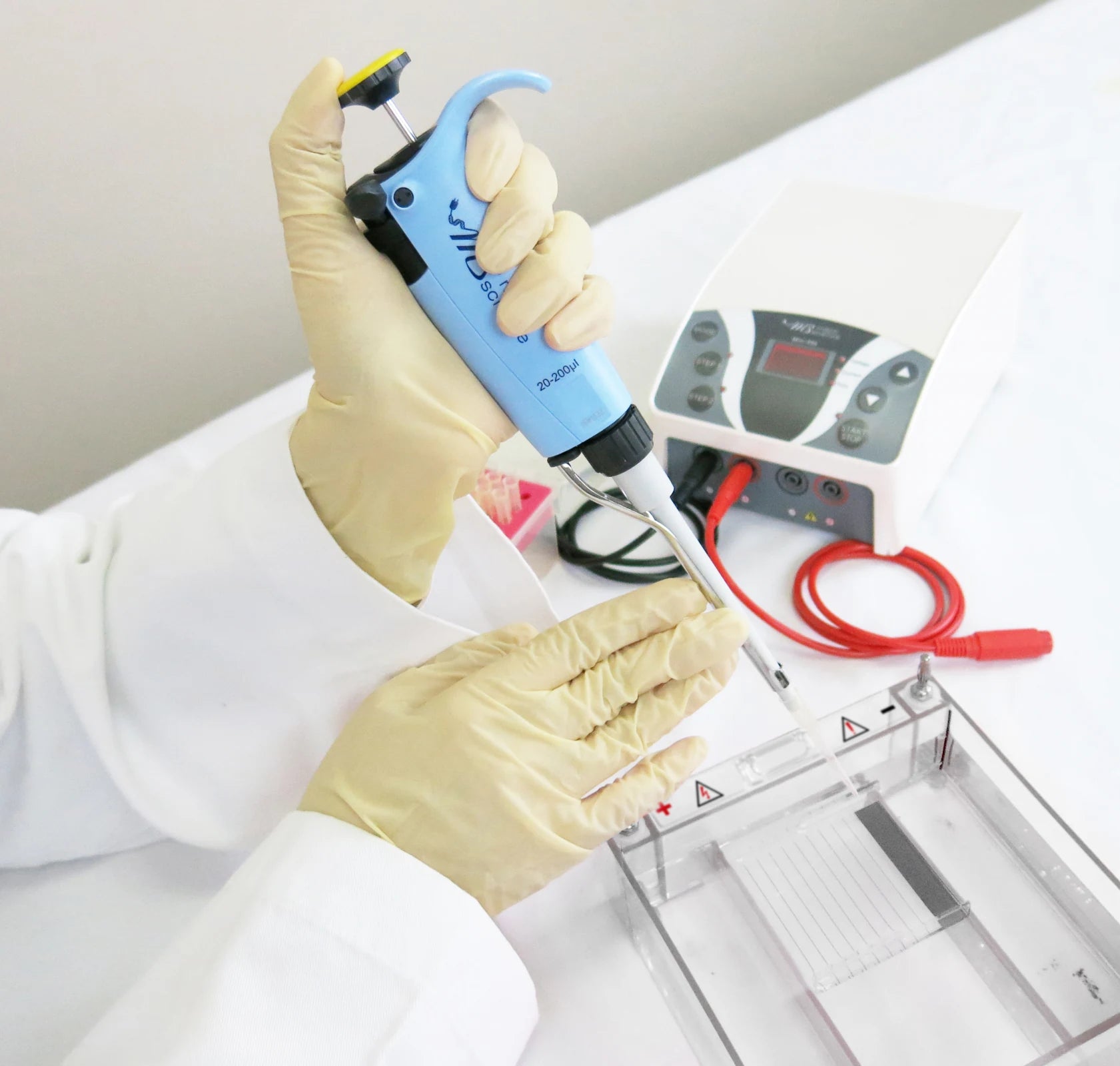 Manufacturer MINI-family gel-workflow photograph; pipette, tank, cables and consumables are context, not included items