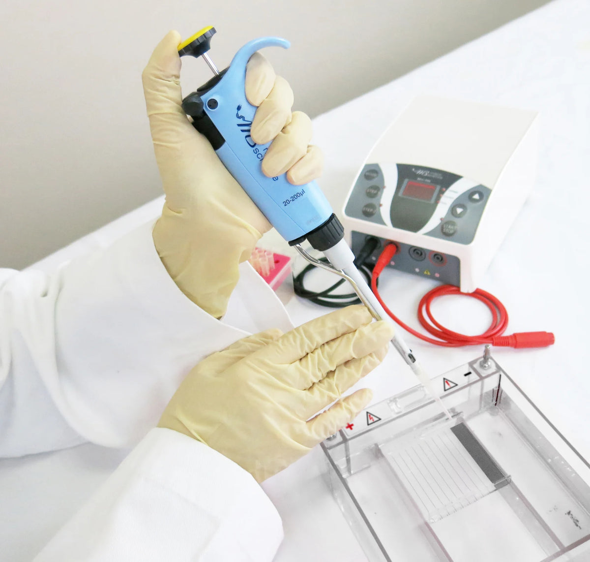 Manufacturer MINI-family gel-workflow photograph; pipette, tank, cables and consumables are context, not included items