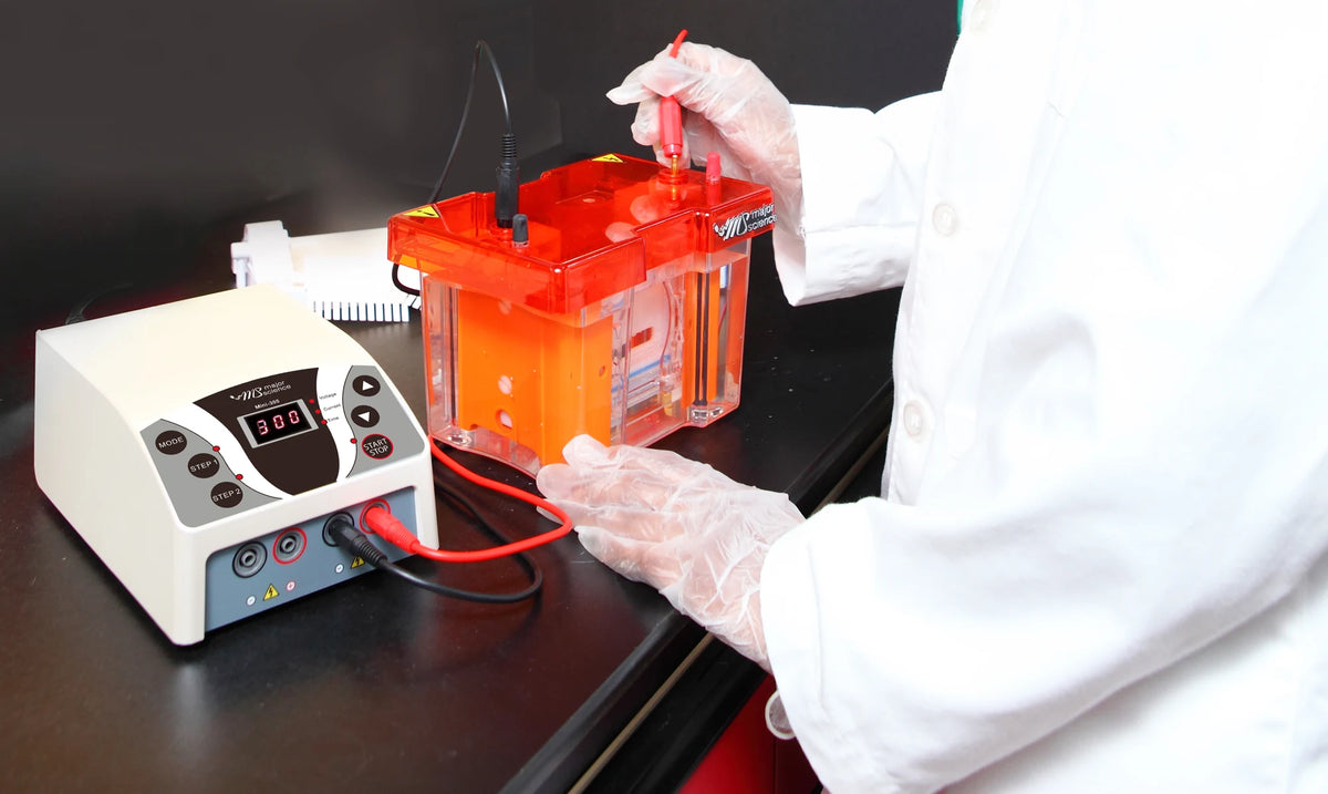 MINI-300 in a manufacturer electrophoresis application photograph; tank and cables shown as workflow context, not included items