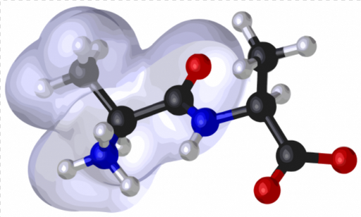 L-Glutamic acid _-p-nitroanilide (High Purity) Peptides Molecular Depot