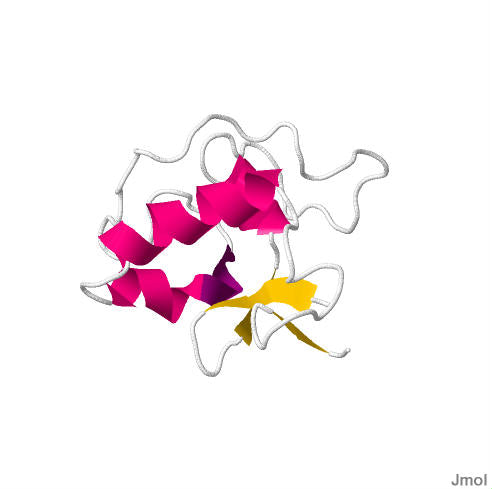 Uroguanylin (Rat) Peptides Molecular Depot