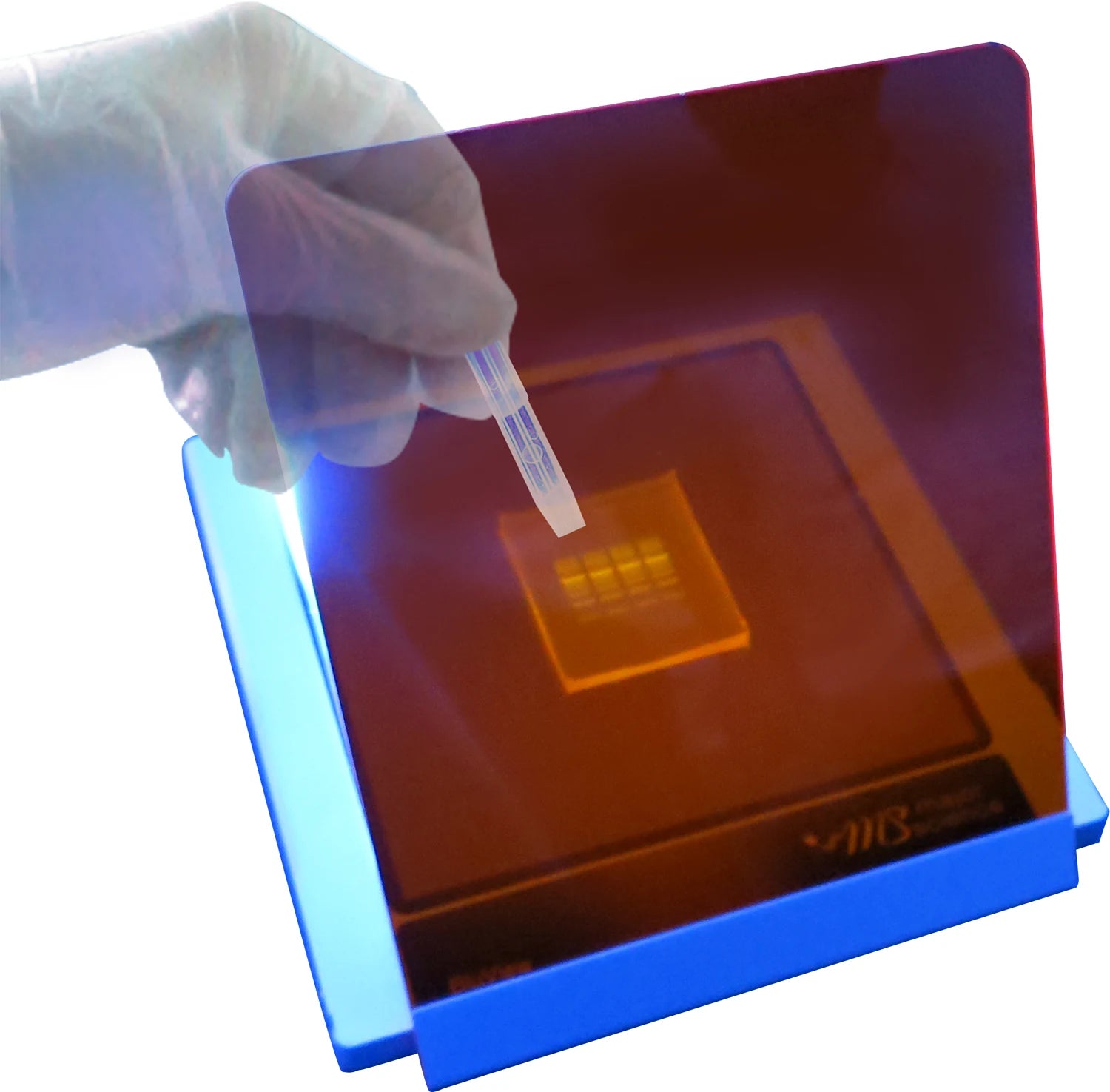 MBE-200BW blue-light gel viewing with amber filter; gel and handling tool are illustrative, not included