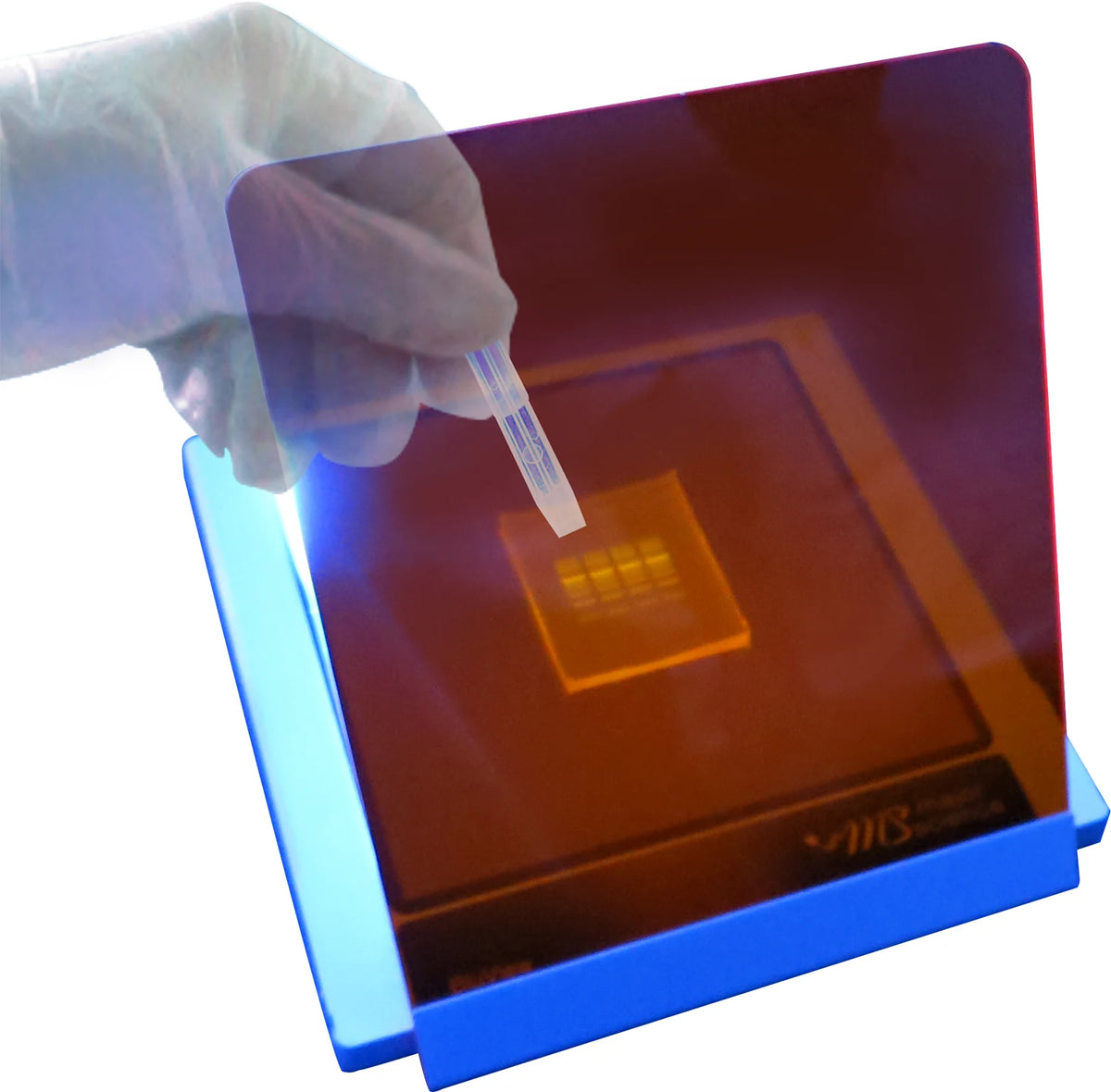 MBE-200BW blue-light gel viewing with amber filter; gel and handling tool are illustrative, not included