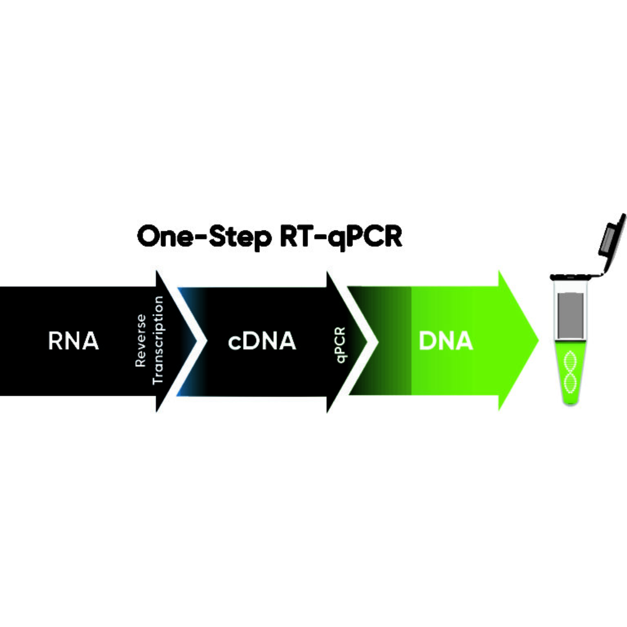 Qpcr Vector qMAX One-Step RT-qPCR Kits — Blue Tiger Scientific