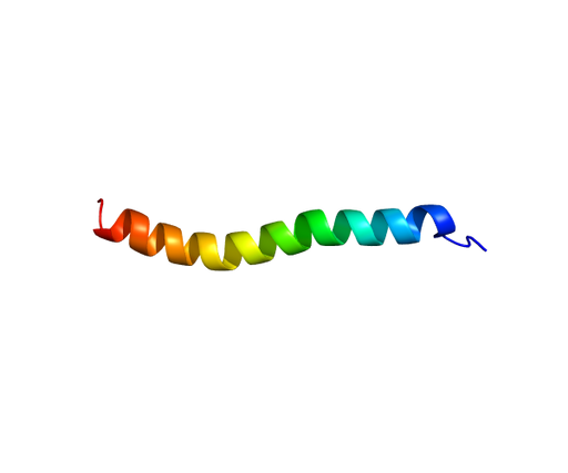 Urocortin II (Mouse) Peptides Molecular Depot